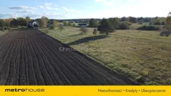 SGFIVA858 - zdjęcie nr 3