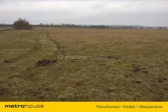 JOJA709 - zdjęcie nr 0