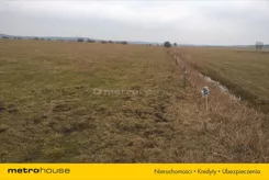 JOJA709 - zdjęcie nr 2