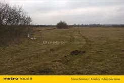 JOJA709 - zdjęcie nr 3