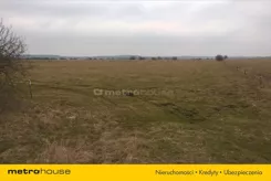 JOJA709 - zdjęcie nr 4