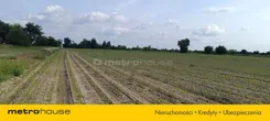 SGFITO231 - zdjęcie nr 0