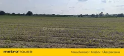SGFITO231 - zdjęcie nr 1
