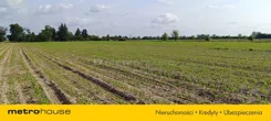 SGFITO231 - zdjęcie nr 2