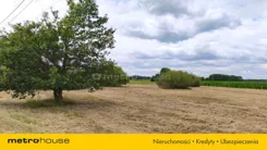 SGJIHO973 - zdjęcie nr 3