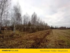 SGVIDI871 - zdjęcie nr 2