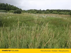 SONI828 - zdjęcie nr 5
