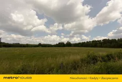 SGLUNY347 - zdjęcie nr 4