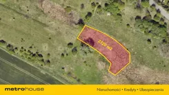 SGBITU654 - zdjęcie nr 4