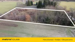 SGDILO705 - zdjęcie nr 0