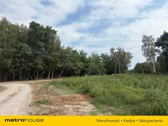 SGJUMU854 - zdjęcie nr 4