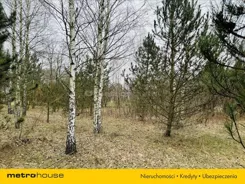 TILI586 - zdjęcie nr 3