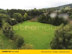 SGKANA202 - zdjęcie nr 0