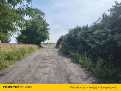 SGLIME463 - zdjęcie nr 0