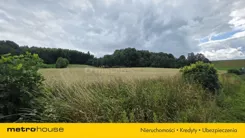 SGPOMY447 - zdjęcie nr 3