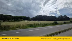 SGPOMY447 - zdjęcie nr 4