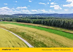 SGSAHY725 - zdjęcie nr 4
