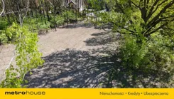 SGFEJY256 - zdjęcie nr 3