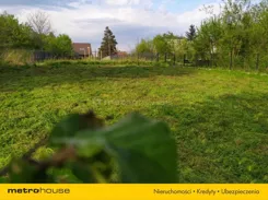 SGZUSU629 - zdjęcie nr 3
