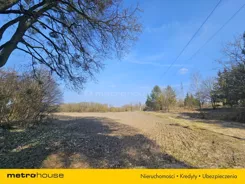 SGNACI328 - zdjęcie nr 3
