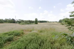 SGZULI788 - zdjęcie nr 2