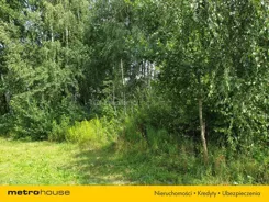 SGKOBY852 - zdjęcie nr 1