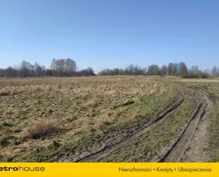 SGLIPU353 - zdjęcie nr 0