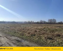 SGLIPU353 - zdjęcie nr 2