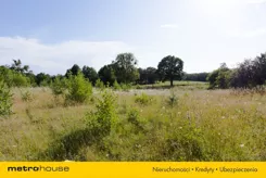 SGLINA773 - zdjęcie nr 3