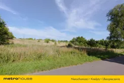SGLINA773 - zdjęcie nr 4