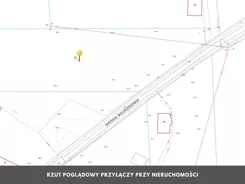 SGCOCO114 - zdjęcie nr 1
