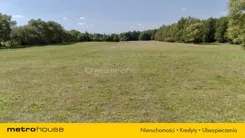 SGBIVO408 - zdjęcie nr 2