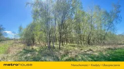 SGKORU350 - zdjęcie nr 1