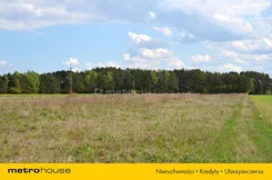 SGSORU603 - zdjęcie nr 2