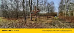 SGCAVY208 - zdjęcie nr 1