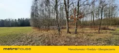 SGCAVY208 - zdjęcie nr 2