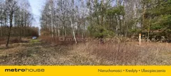 SGCAVY208 - zdjęcie nr 3