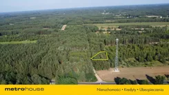 SGKUMU641 - zdjęcie nr 2