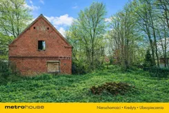 SGJAZO937 - zdjęcie nr 2