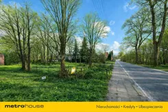SGJAZO937 - zdjęcie nr 3
