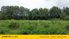SGNUBA723 - zdjęcie nr 3