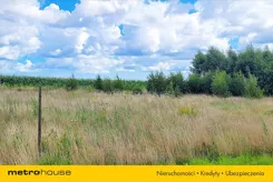 PEXI091 - zdjęcie nr 4