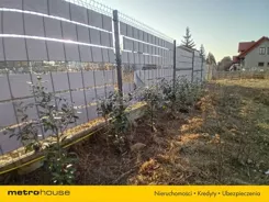 SGFARY679 - zdjęcie nr 1