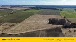 SGDIBA903 - zdjęcie nr 1