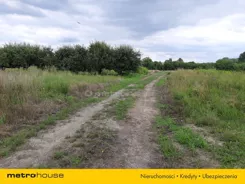 SGZUKE864 - zdjęcie nr 4