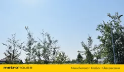 SGRANO133 - zdjęcie nr 1