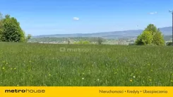 SGNUSI337 - zdjęcie nr 2