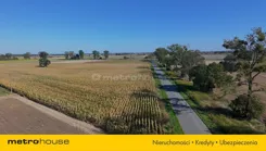 SGKOTA142 - zdjęcie nr 1