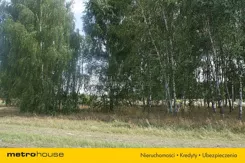 SGHARE997 - zdjęcie nr 2