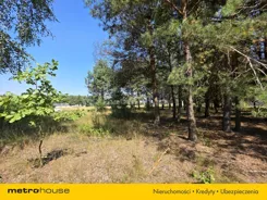 SGCATU565 - zdjęcie nr 3